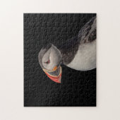 Puzzle Puffin Atlantique en Machias, Maine (Vertical)