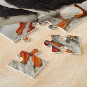Puzzle Puffins de l'Atlantique sur l'île des phoques Mach (Côté)