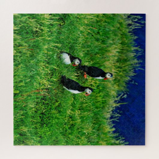 Puzzle Puffins islandais (Horizontal)