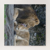 Puzzle Puissant amour Lion (Horizontal)