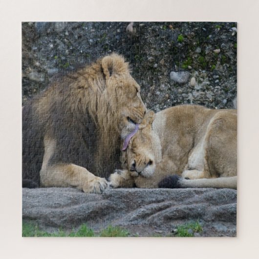 Puzzle Puissant amour Lion (Vertical)