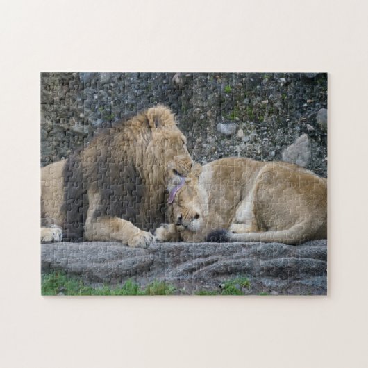 Puzzle Puissant amour Lion (Horizontal)