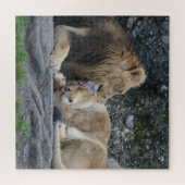 Puzzle Puissant amour Lion (Horizontal)