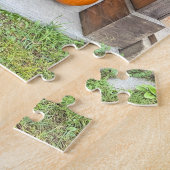 Puzzle Pumpkins and barrel by a farm (Côté)