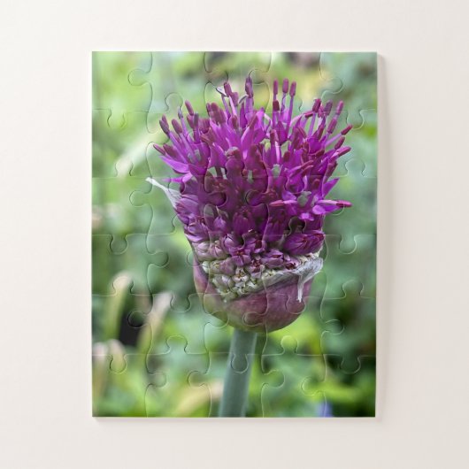 Puzzle Purple Bloom of Memory | Allium Flower Botanical (Vertical)