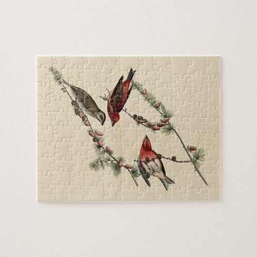 Puzzle Purple Finch - John J. Audubon's Birds of America (Horizontal)