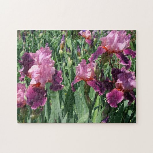 Puzzle Purple Irises Printemps Floral (Horizontal)