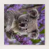 Puzzle Purple Jacaranda Koala Ours, (Horizontal)