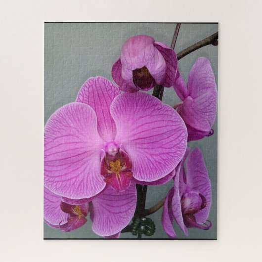 PUZZLE PURPLE ORCHID (Vertical)