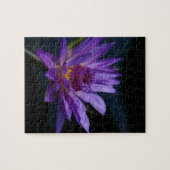 Puzzle Purple Waterlily (Horizontal)
