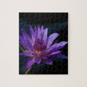 Puzzle Purple Waterlily
