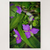 Puzzle Purplish Pink Spiderwort Spring Burst (Vertical)