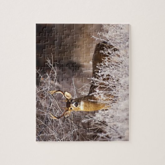 Puzzle Puzzle-Cerfs communs de faune (Vertical)