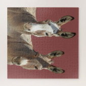 Puzzle Puzzle, faune, ânes, Oatman, Arizona (Horizontal)