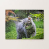 Puzzle Puzzle-Kitten (Horizontal)