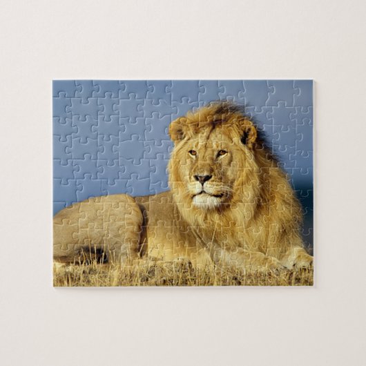 Puzzle Puzzle-Lion de faune (Horizontal)