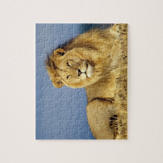 Puzzle Puzzle-Lion de faune (Vertical)