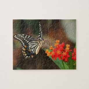 Puzzle Puzzle-Papillon de faune