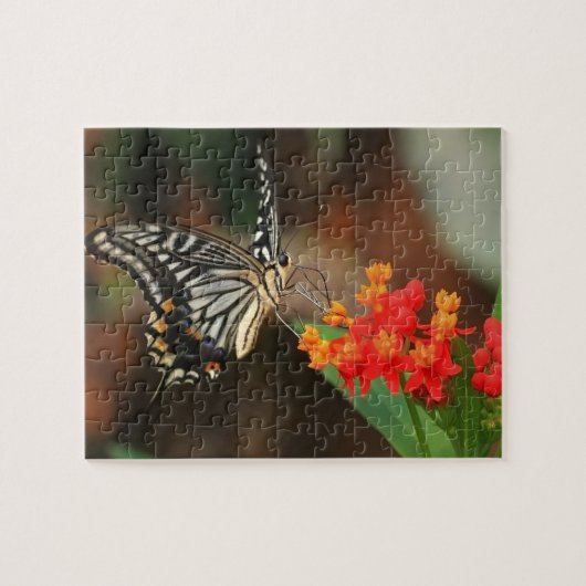 Puzzle Puzzle-Papillon de faune (Horizontal)