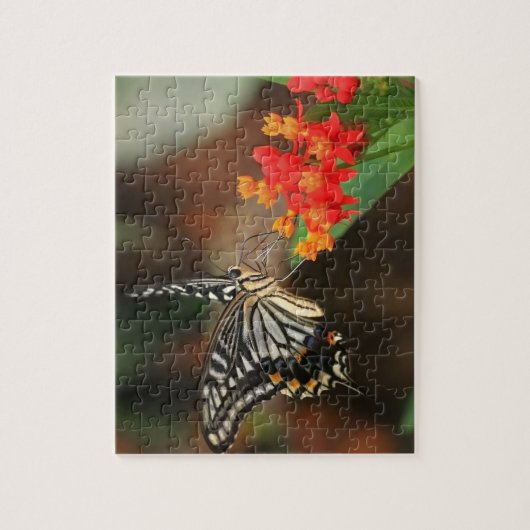 Puzzle Puzzle-Papillon de faune (Vertical)