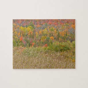 Puzzle puzzle, "PAYSAGE DE COULEUR DE CHUTE"