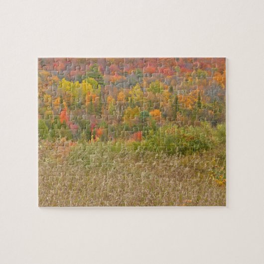 Puzzle puzzle, "PAYSAGE DE COULEUR DE CHUTE" (Horizontal)