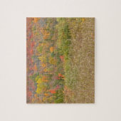 Puzzle puzzle, "PAYSAGE DE COULEUR DE CHUTE" (Vertical)
