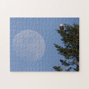 Puzzle Pygargue à tête blanche Pleine lune montante
