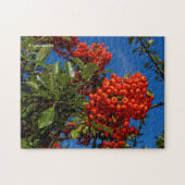 Puzzle Pyracantha Coccinea / Feu d'épine d'araignée (Horizontal)