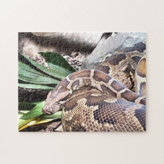 Puzzle Python (Horizontal)