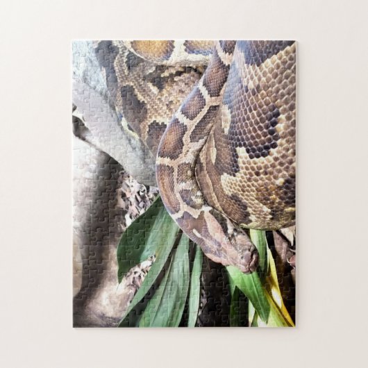 Puzzle Python (Vertical)