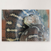 Puzzle Python de tapis centralisé (Horizontal)