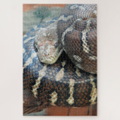 Puzzle Python de tapis centralisé (Vertical)