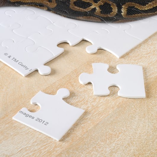 Puzzle Python royal à deux têtes ou Python à boule - Pyth (Côté)