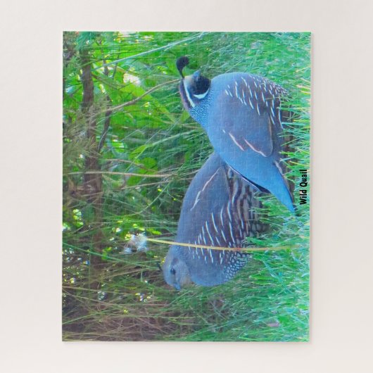 Puzzle Quail sauvage (Vertical)