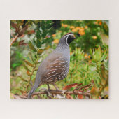 Puzzle Quail sauvage (Horizontal)