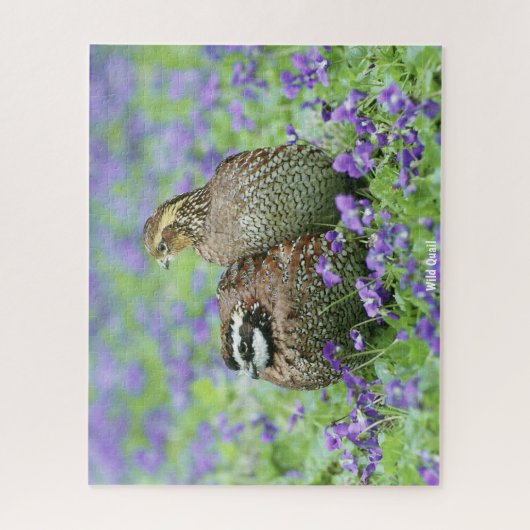 Puzzle Quail sauvage (Vertical)