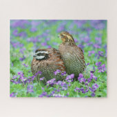 Puzzle Quail sauvage (Horizontal)