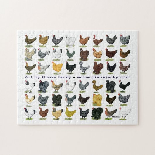 Puzzle Quarante-huit Hen Promo (Horizontal)