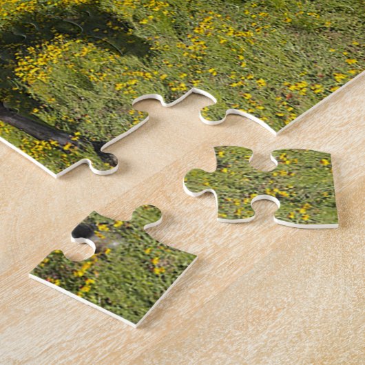 Puzzle Quarter Horses Texas. (Côté)