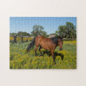 Puzzle Quarter Horses Texas. (Horizontal)