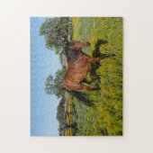 Puzzle Quarter Horses Texas. (Vertical)