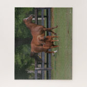 Puzzle Quartier Cheval et Miniature ensemble (Vertical)