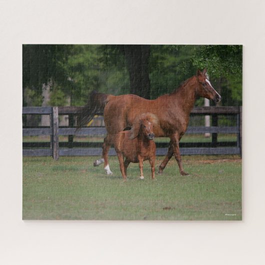 Puzzle Quartier Cheval et Miniature ensemble (Horizontal)