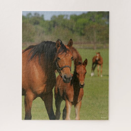 Puzzle Quartier Cheval Mare et poulain debout (Vertical)