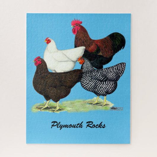 Puzzle Quartier de Plymouth Rock (Vertical)