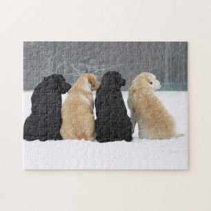 Puzzle Quatre Chiens Du Labrador En Neige