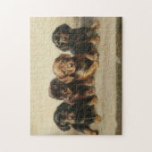 Puzzle Quatre Chipons Dachshund | Carl Reichert (Vertical)