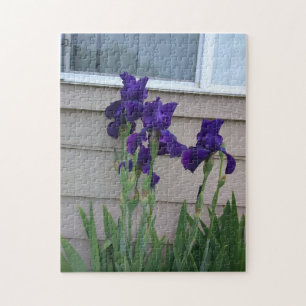Puzzle Quatre Iris Violets