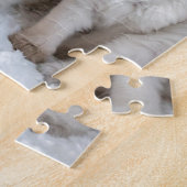 Puzzle Quatre jeunes chats de Ragdoll se reposant dans (Côté)